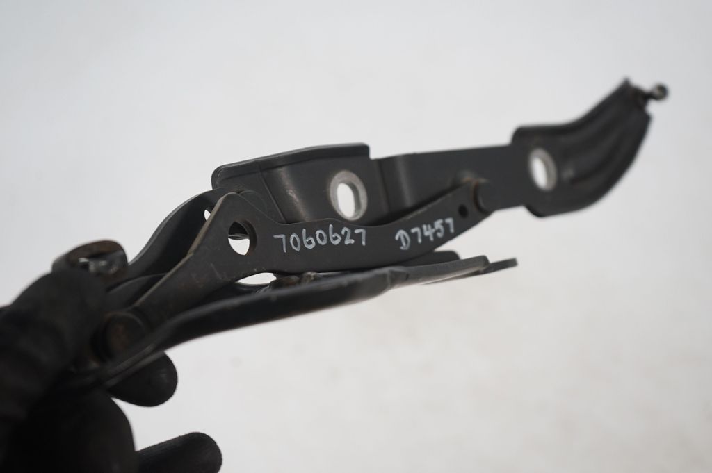 Tailgate/trunk/boot hinge (6)