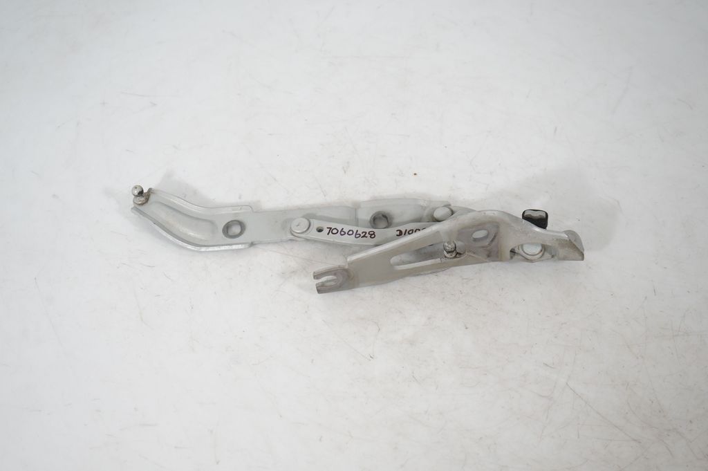 Tailgate/trunk/boot hinge