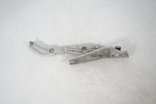 Tailgate/trunk/boot hinge