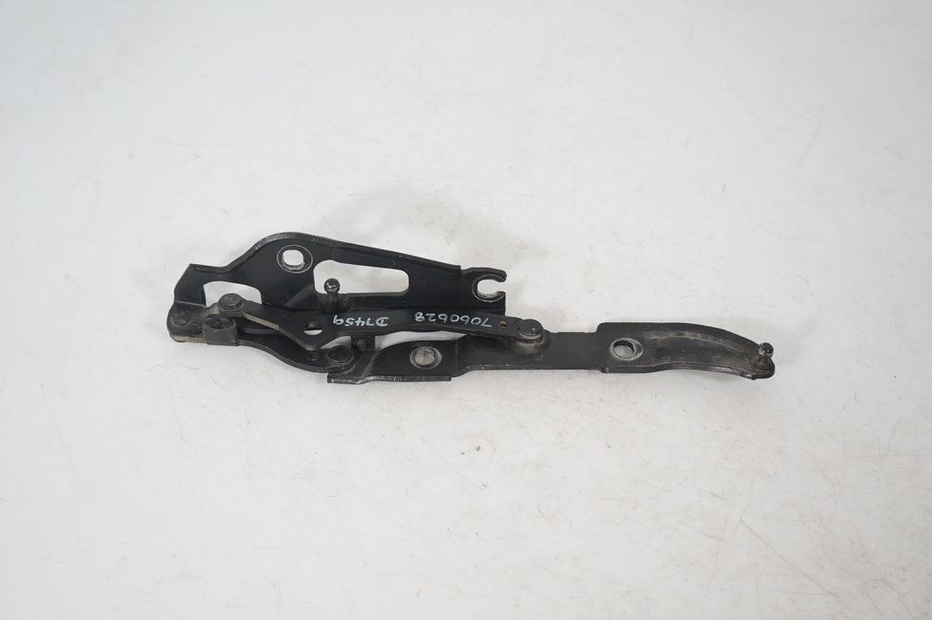 Tailgate/trunk/boot hinge (3)