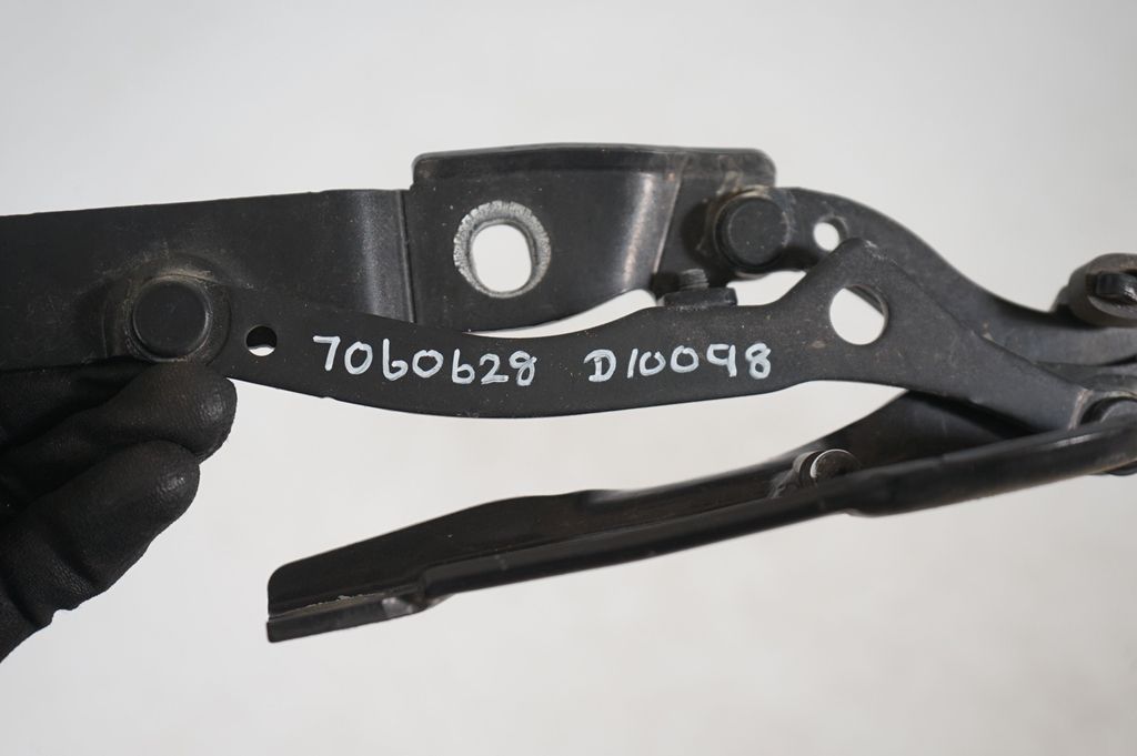 Tailgate/trunk/boot hinge (8)