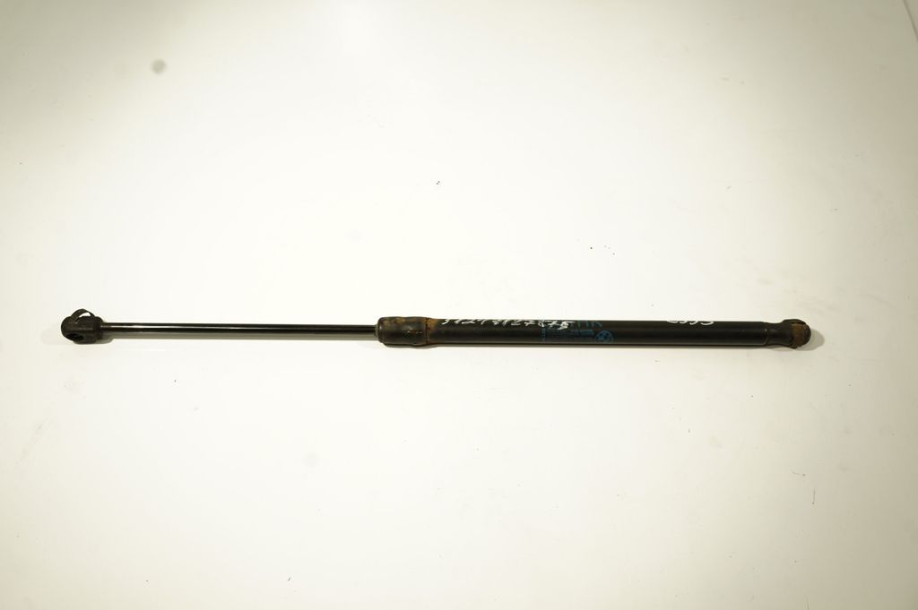 Tailgate/trunk strut/damper