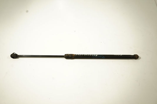 Tailgate/trunk strut/damper