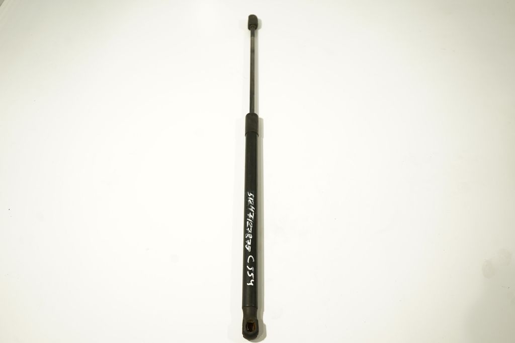 Tailgate/trunk strut/damper (2)