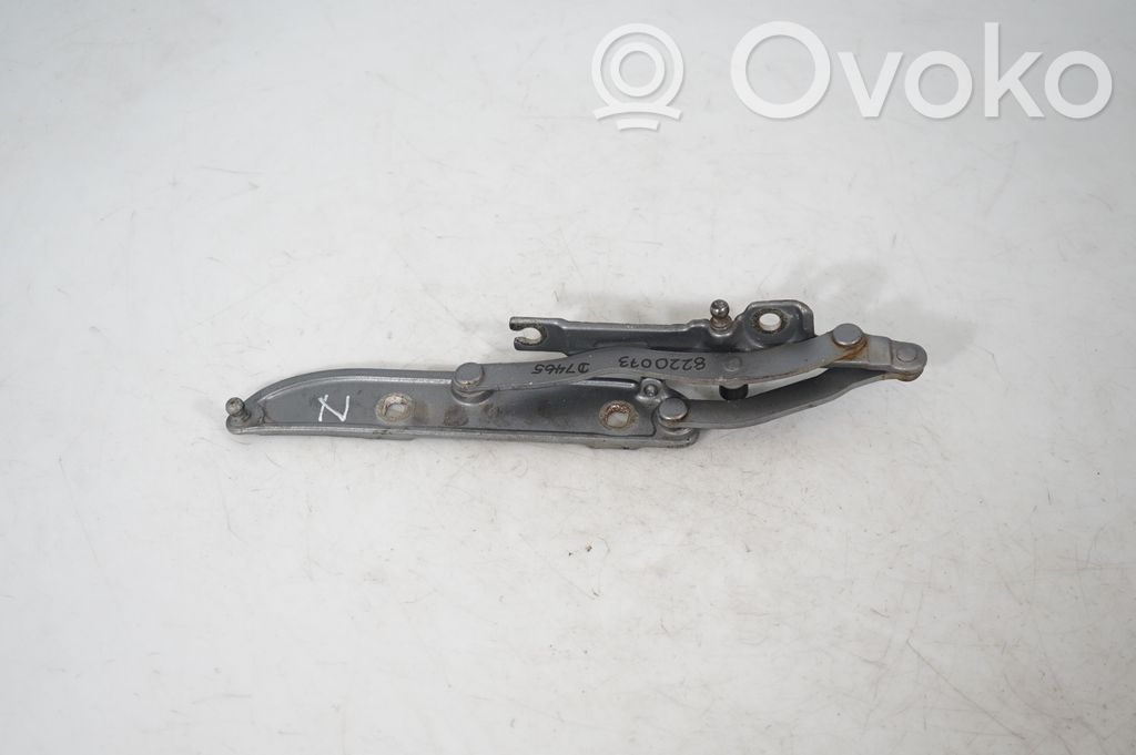 Tailgate/trunk/boot hinge (3)
