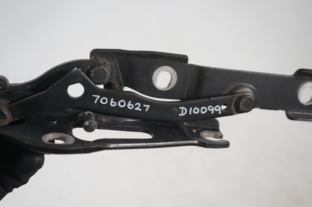 Tailgate/trunk/boot hinge (8)