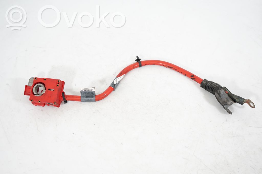 Positive cable (battery) (2)