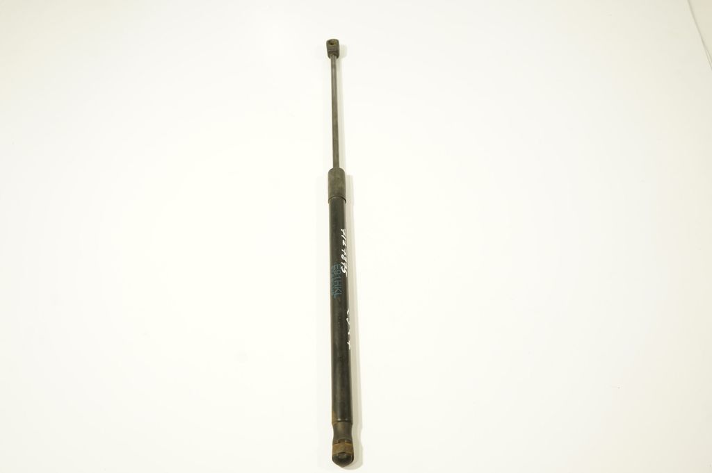 Tailgate/trunk strut/damper (2)