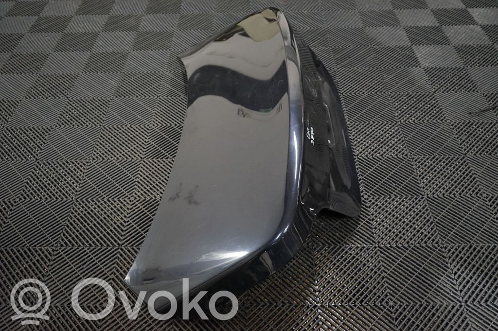 Tailgate/trunk/boot lid (4)