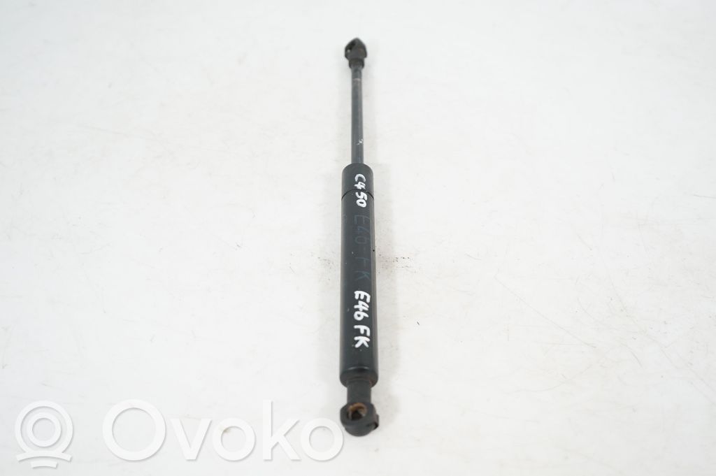 Front bonnet/hood damper/strut (2)