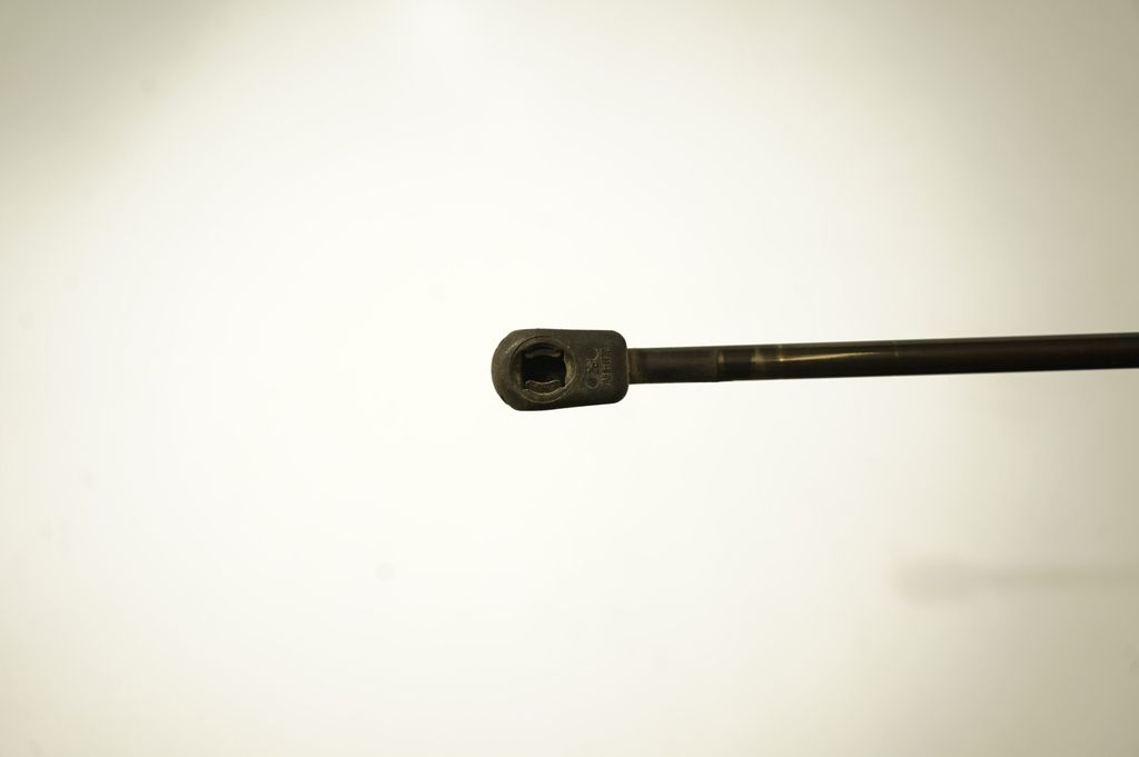 Tailgate/trunk strut/damper (6)