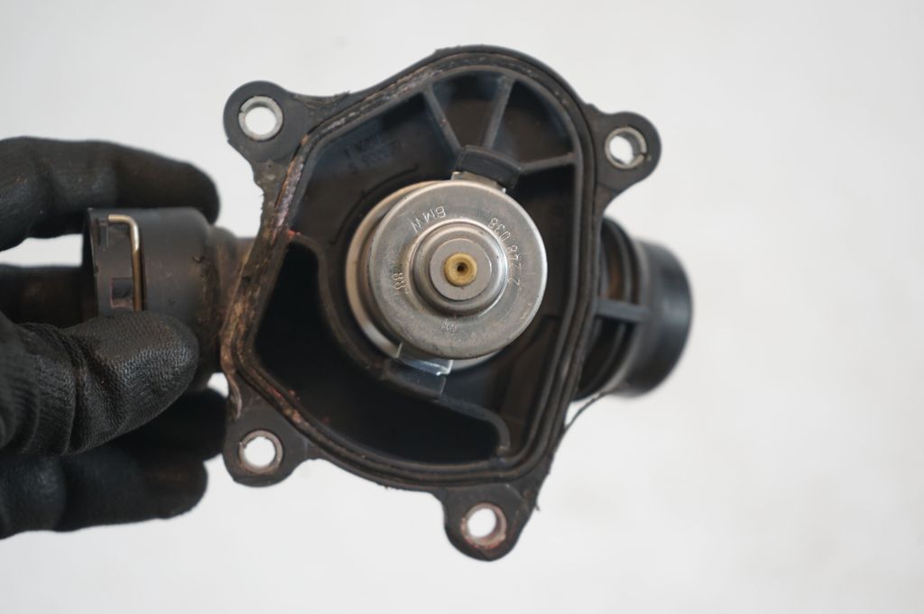 Thermostat/thermostat housing (8)