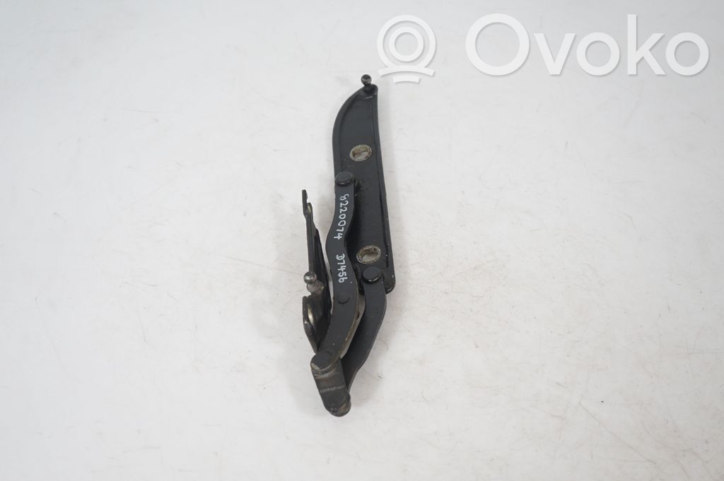 Tailgate/trunk/boot hinge (2)