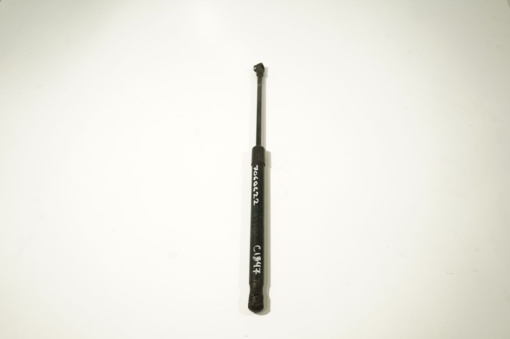 Tailgate/trunk strut/damper (5)