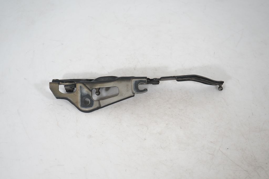 Tailgate/trunk/boot hinge (5)