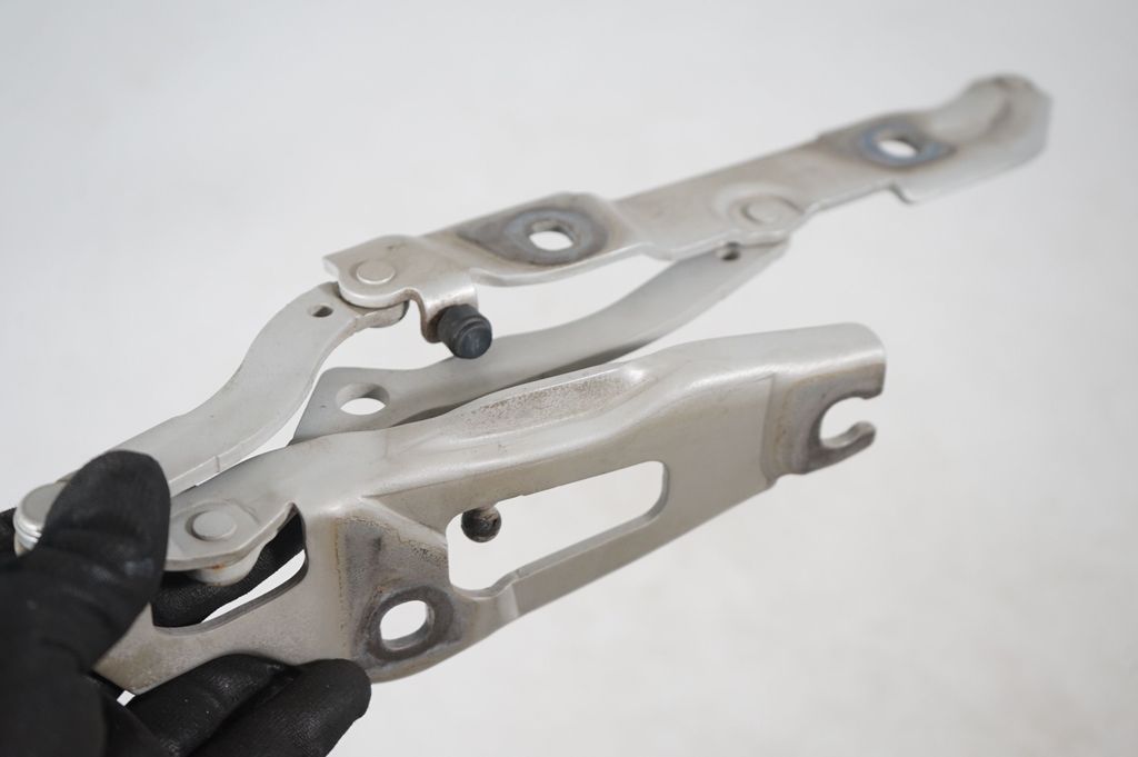 Tailgate/trunk/boot hinge (7)