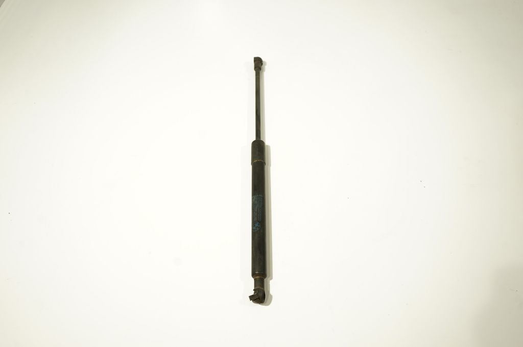 Front bonnet/hood damper/strut (2)