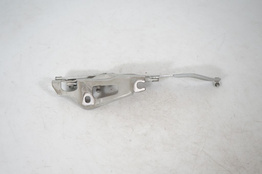 Tailgate/trunk/boot hinge (5)