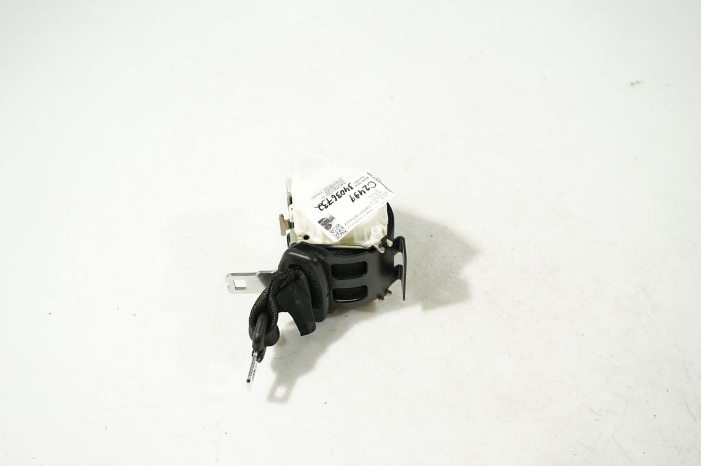 Rear seatbelt (2)