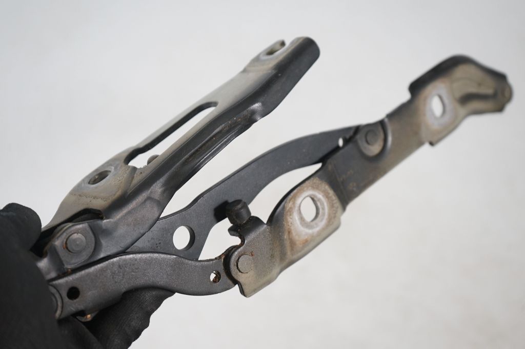 Tailgate/trunk/boot hinge (7)
