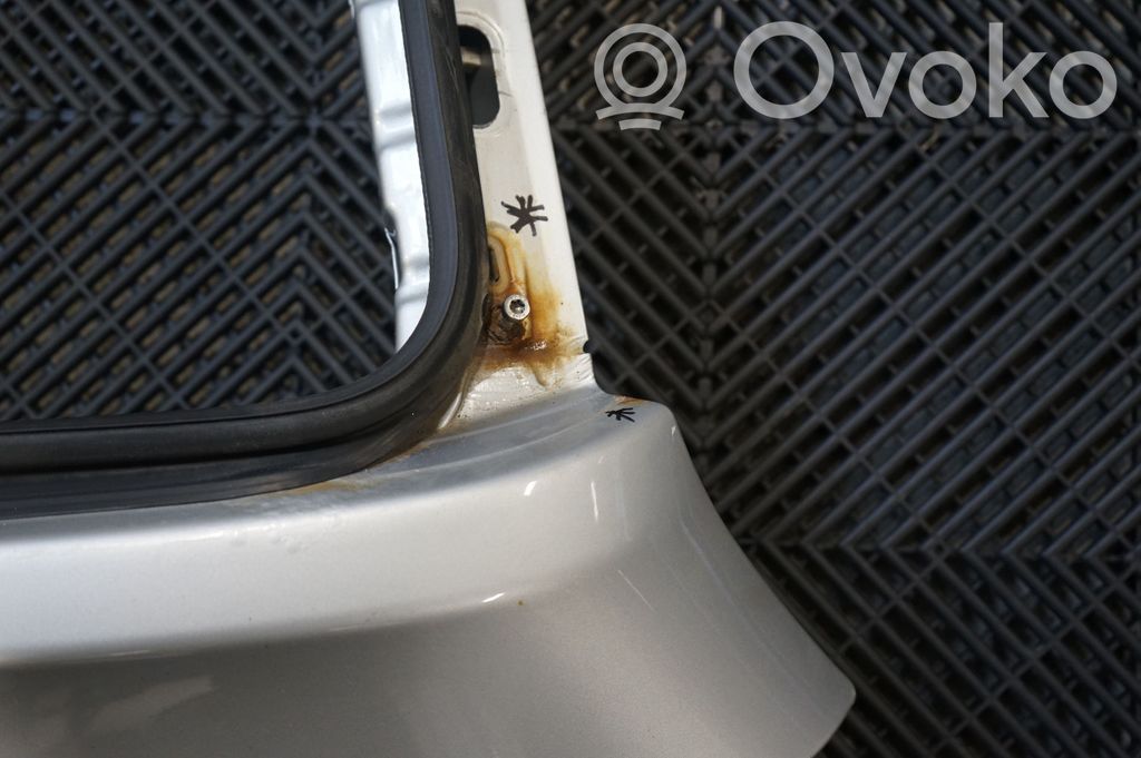 Tailgate/trunk/boot lid (10)