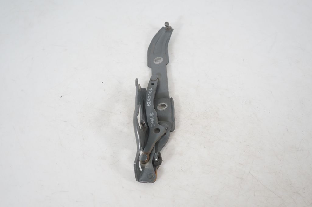 Tailgate/trunk/boot hinge (2)
