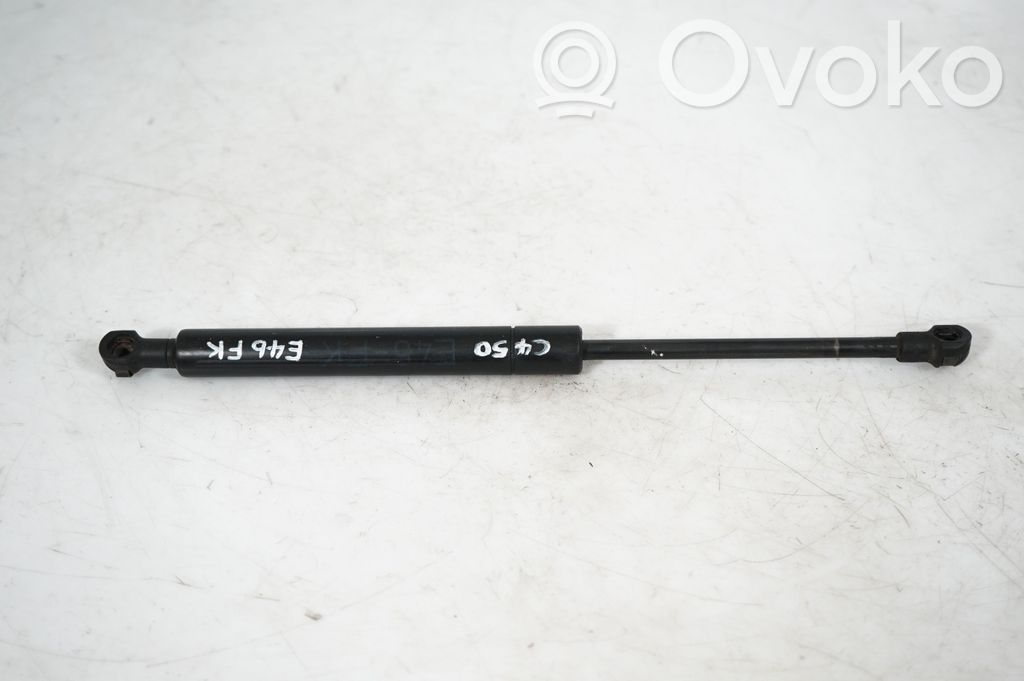 Front bonnet/hood damper/strut (3)