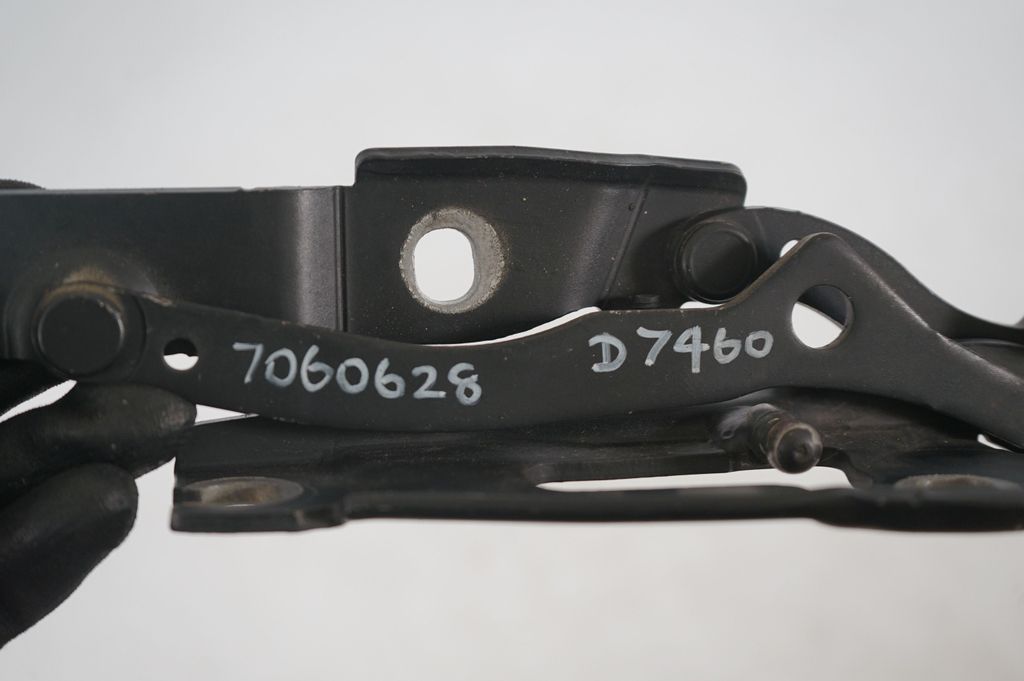 Tailgate/trunk/boot hinge (8)