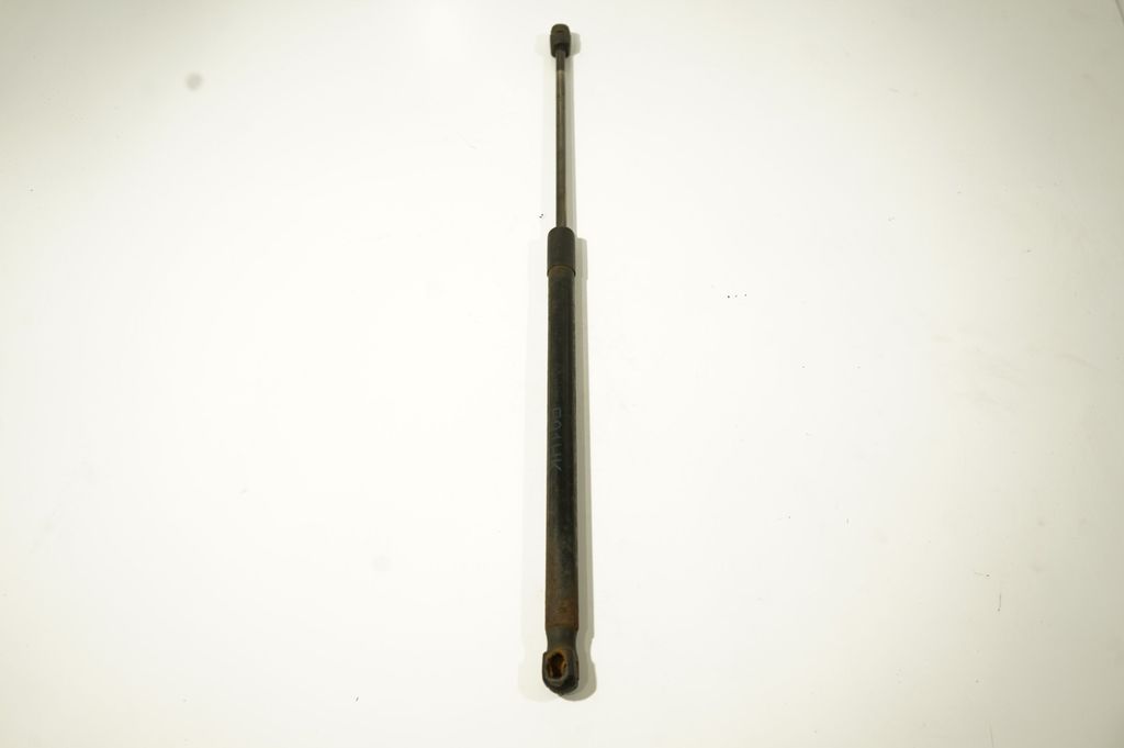 Tailgate/trunk strut/damper (2)