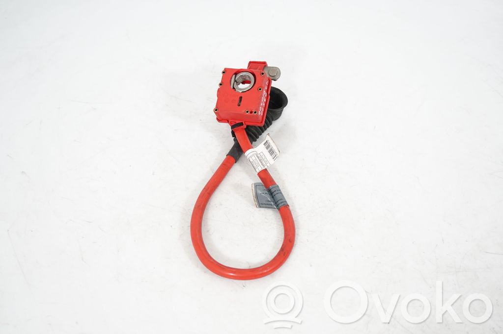 Positive cable (battery) (2)