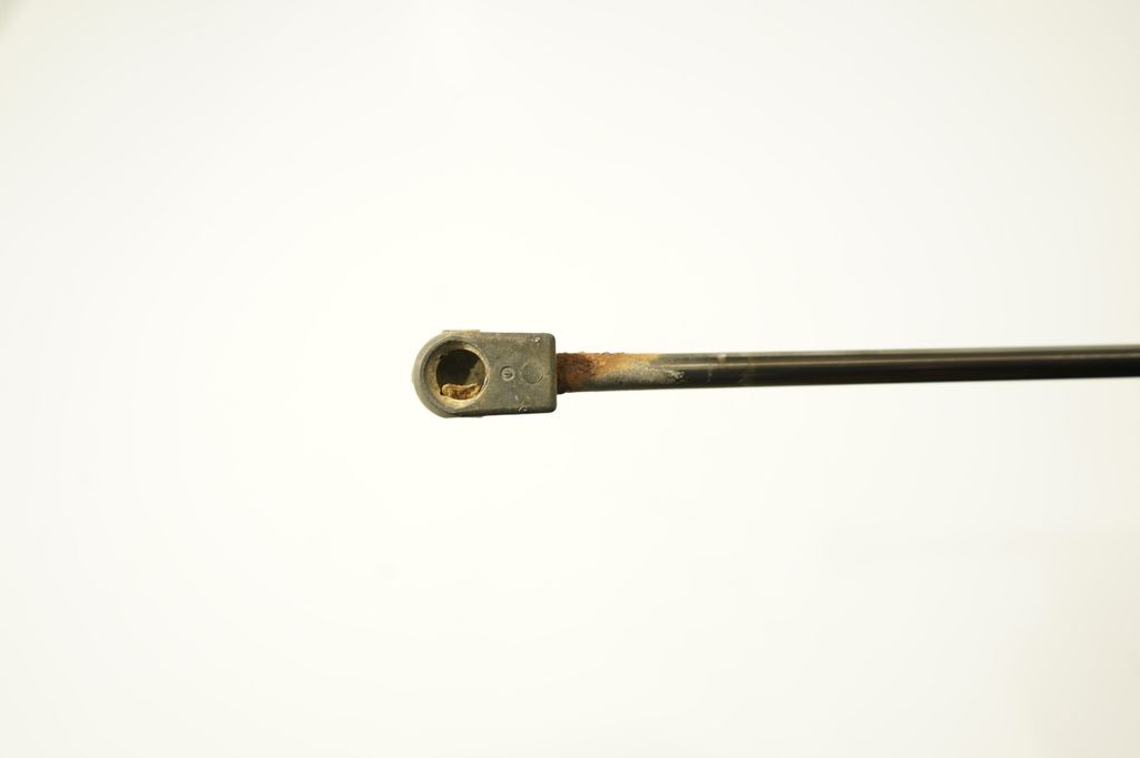 Tailgate/trunk strut/damper (6)