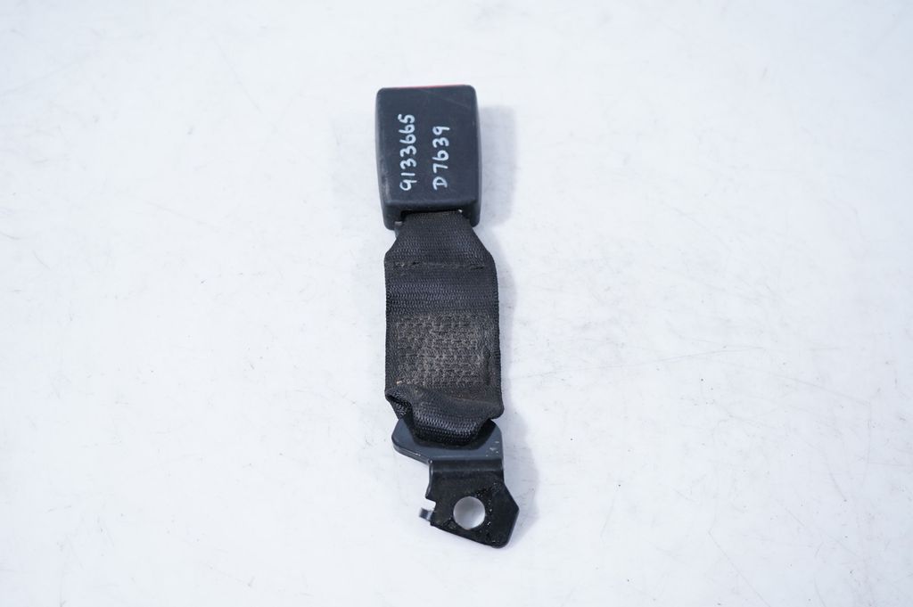 Rear seatbelt buckle (3)