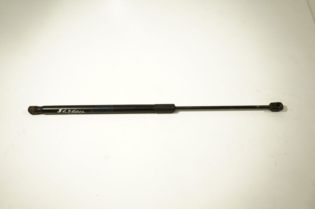 Tailgate/trunk strut/damper (3)