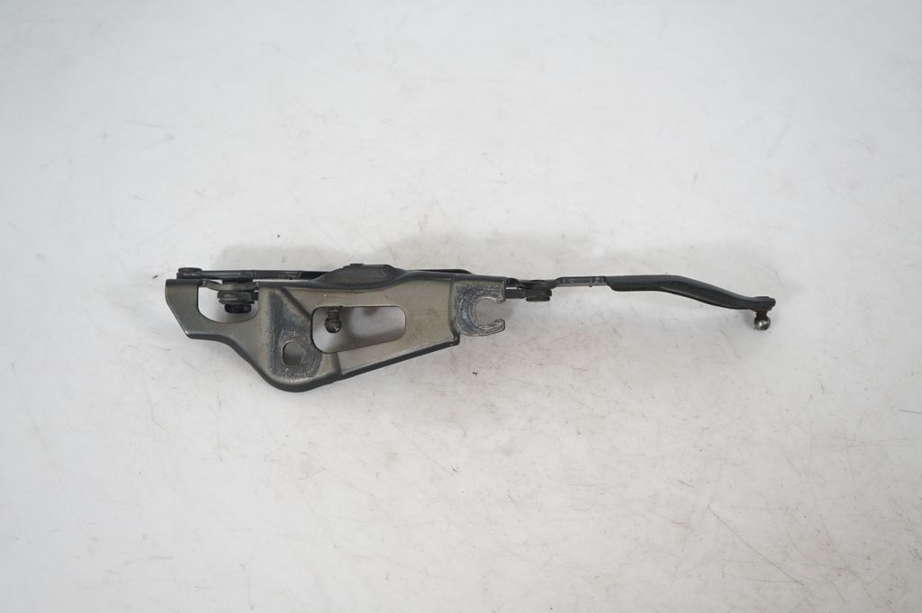 Tailgate/trunk/boot hinge (5)