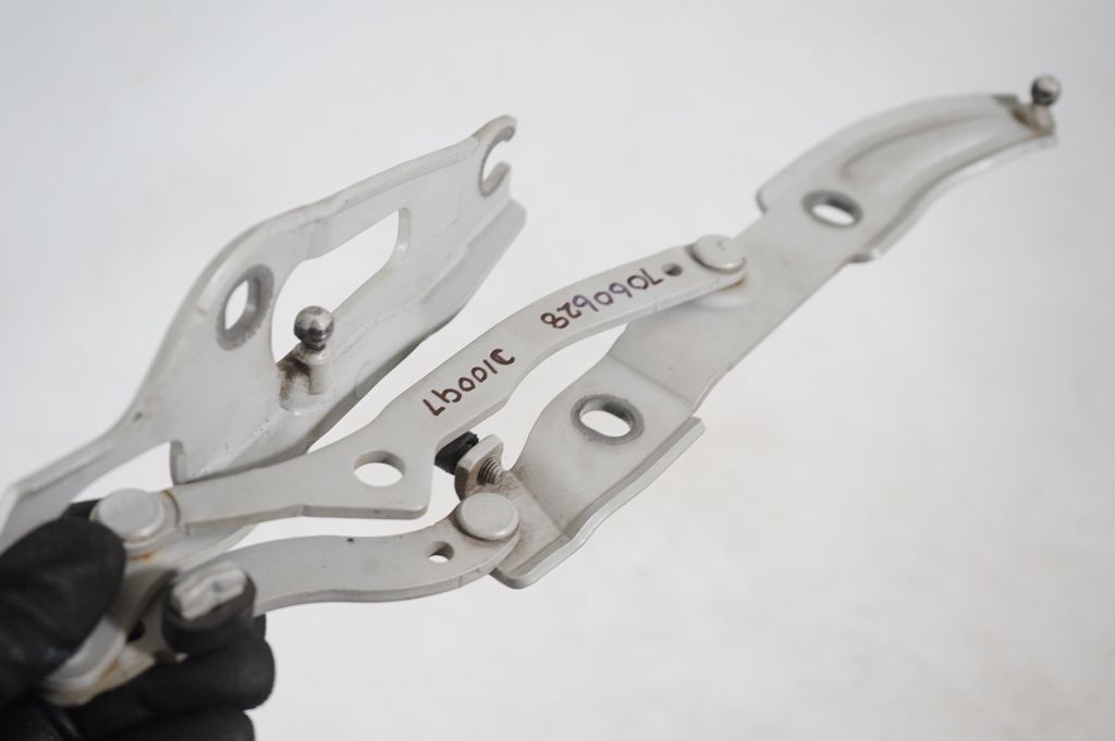 Tailgate/trunk/boot hinge (6)