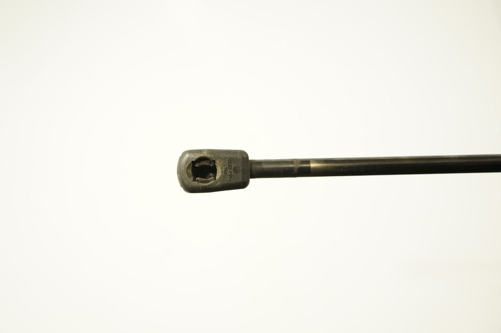 Tailgate/trunk strut/damper (6)