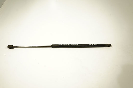 Tailgate/trunk strut/damper
