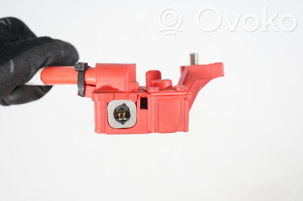 Positive cable (battery) (8)