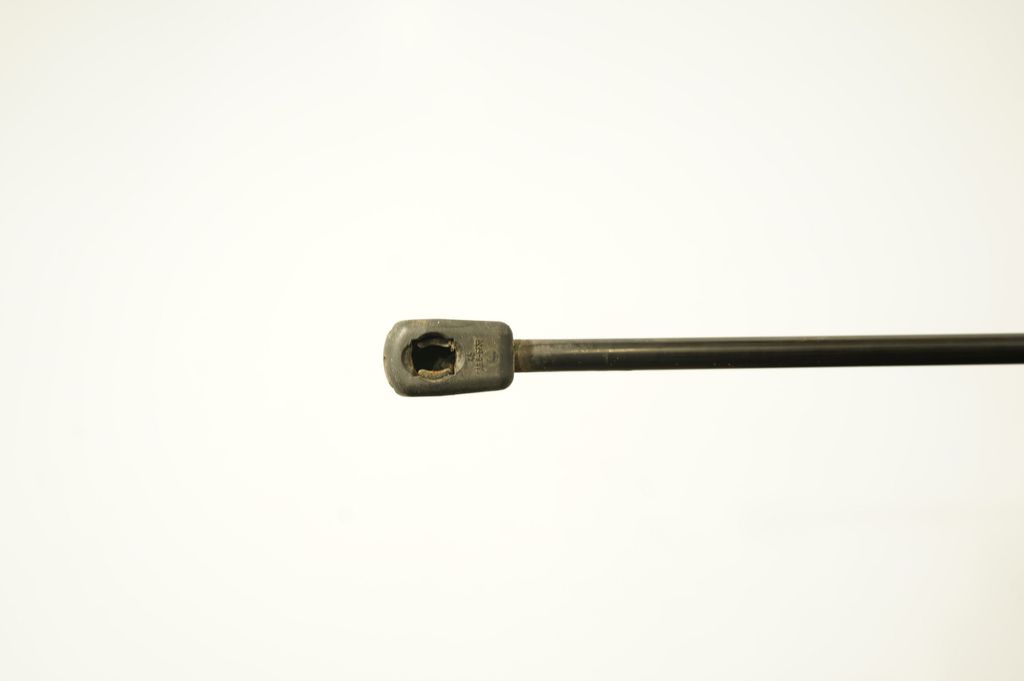 Tailgate/trunk strut/damper (6)