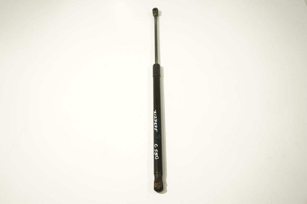 Tailgate/trunk strut/damper (2)
