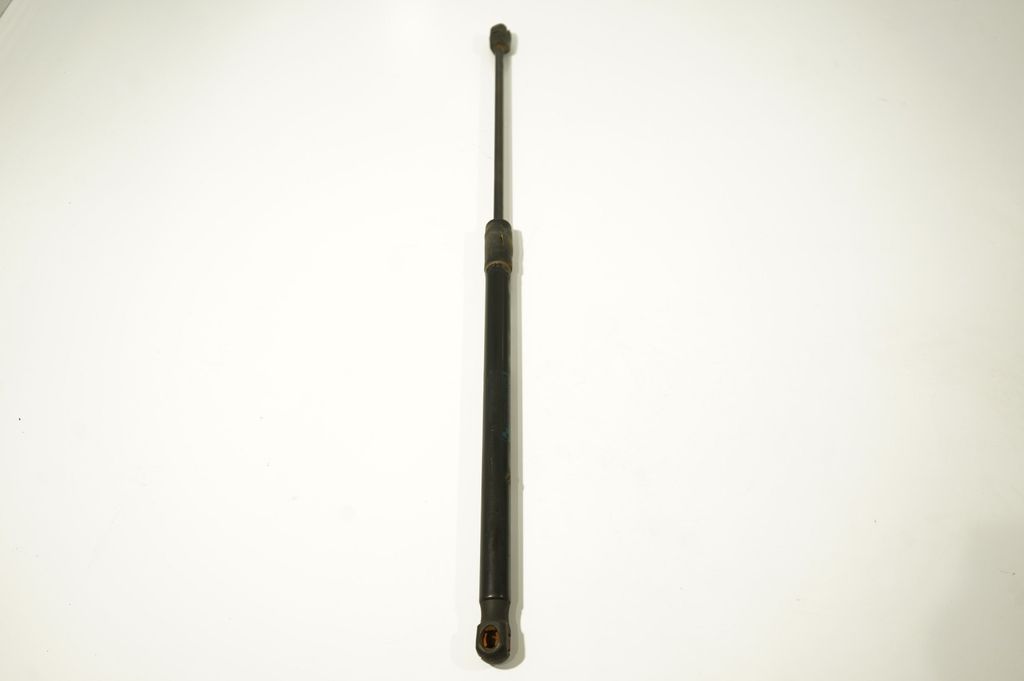Tailgate/trunk strut/damper (2)