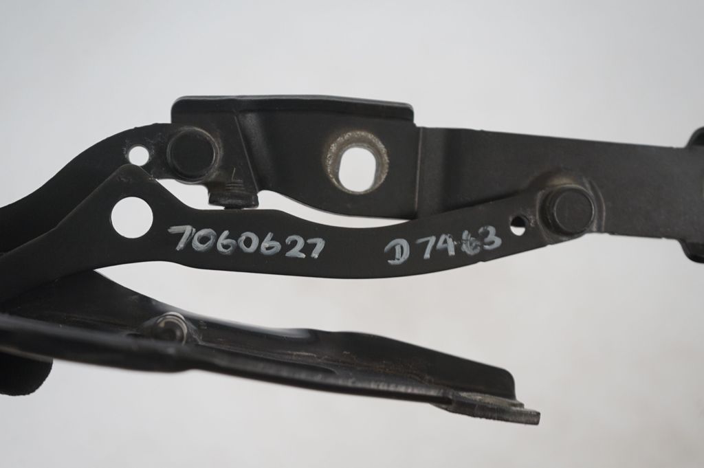 Tailgate/trunk/boot hinge (8)