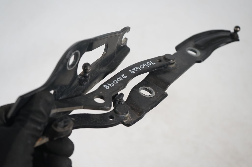 Tailgate/trunk/boot hinge (6)