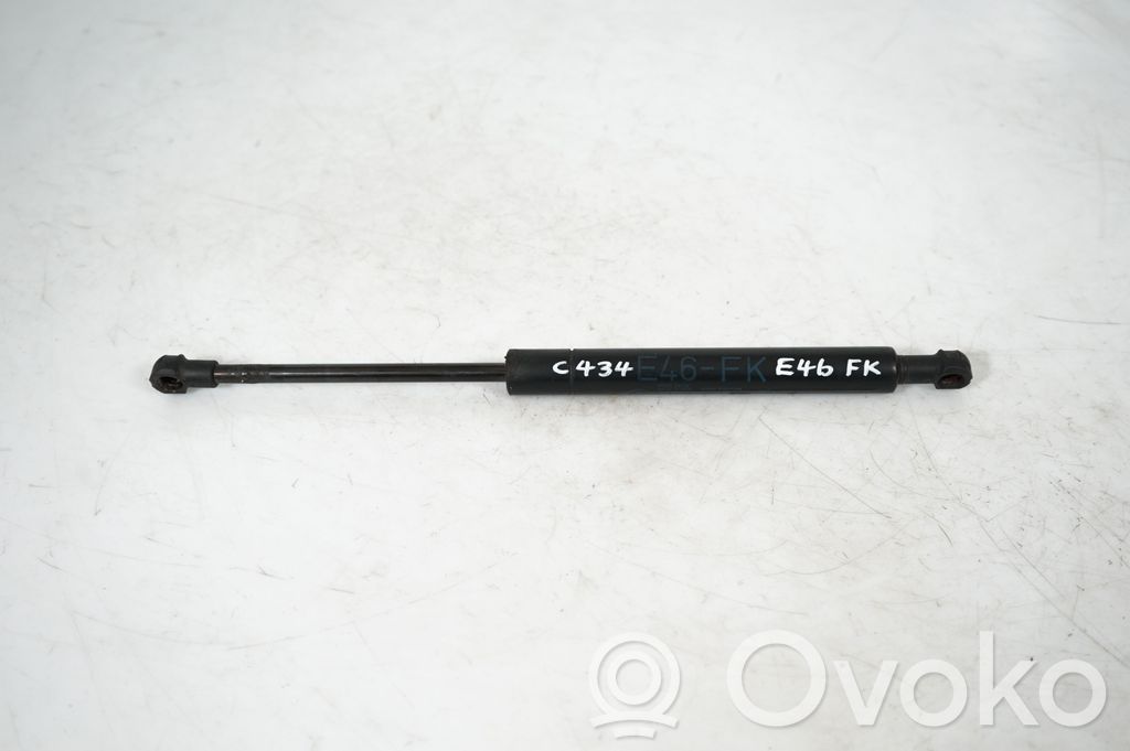 Front bonnet/hood damper/strut