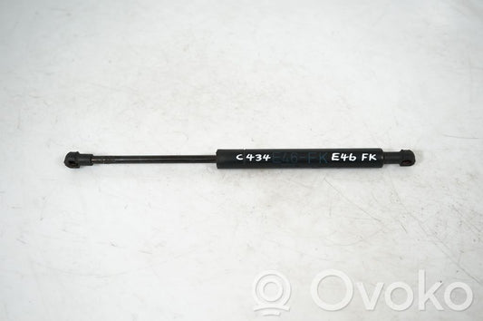 Front bonnet/hood damper/strut