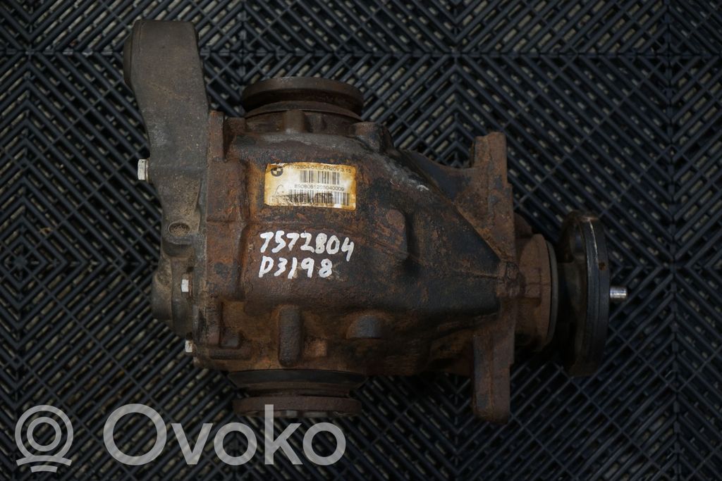 Rear differential (6)