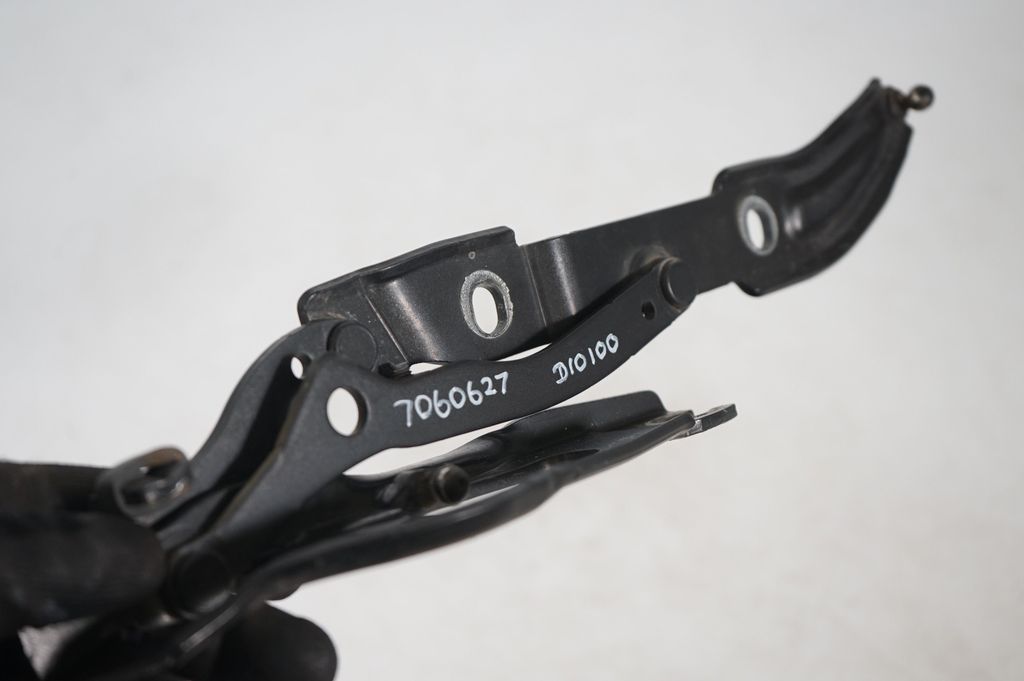 Tailgate/trunk/boot hinge (6)