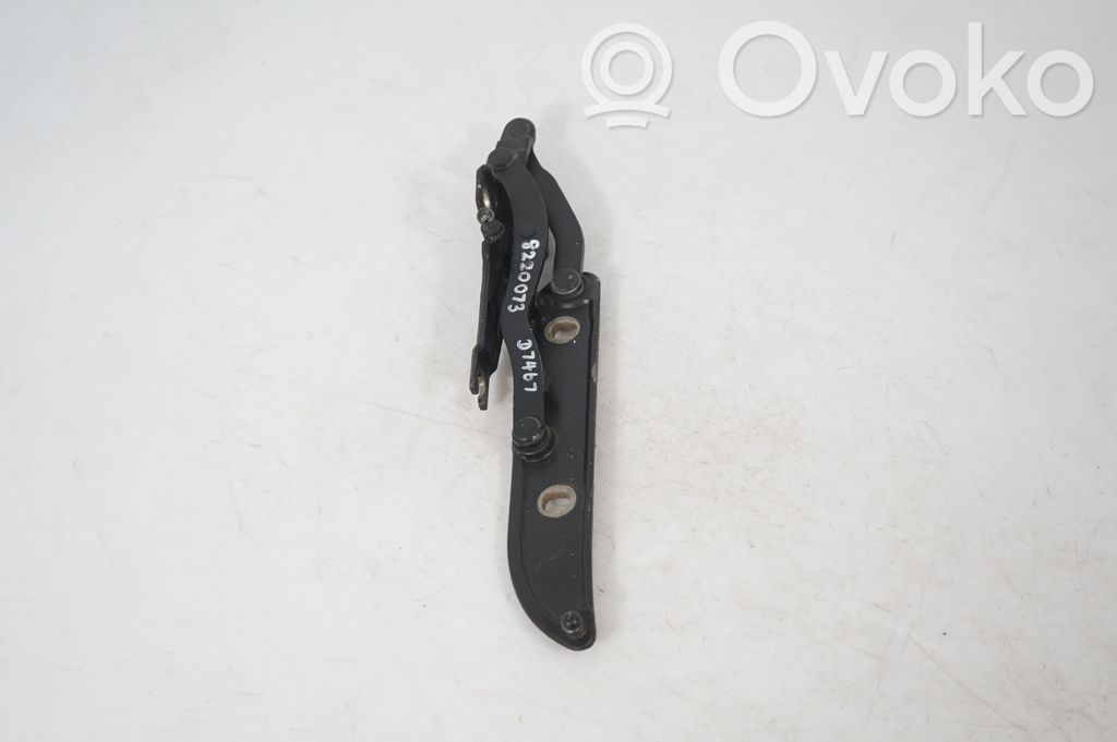 Tailgate/trunk/boot hinge (2)