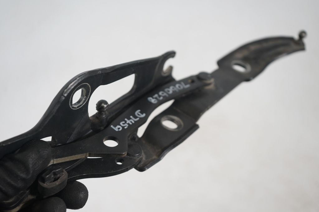 Tailgate/trunk/boot hinge (7)