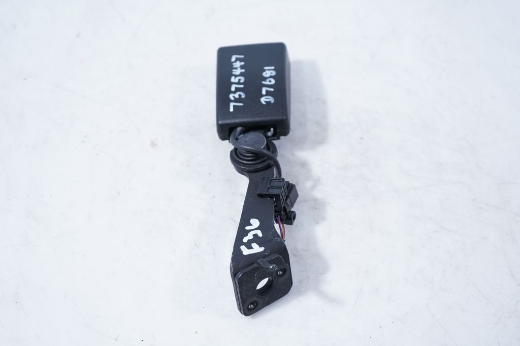 Rear seatbelt buckle (4)